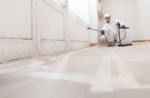 24/7 Emergency Black Mold Remediation experts in Cranford, NJ