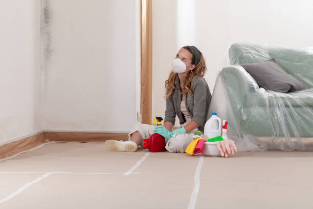 Reliable Black Mold Remediation contractor in Cranford, NJ by 24 Hour Mold Removal